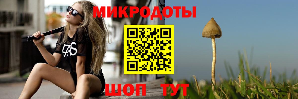 Псилоцибиновые грибы Psilocybine cubensis  Вход с VPN  Десногорск 
